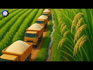 How Thai Farmers Harvest & Process Millions of Tons of Rice to a New Level | Agriculture Technology