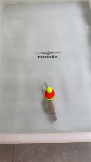 #fishingbait #swimbait #smartbait The secret to reviving bait fish #lures #zombait #roboticswimbait