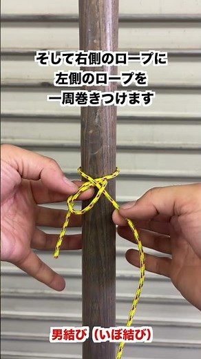 樹木の支柱の固定などで使う結び方【植木屋 庭師 男結び いぼ結び ロープワーク 】