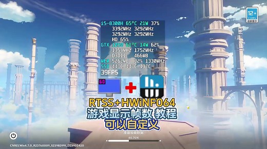 【RTSS HWiNFO64】教程，游戏显示帧数温度频率等等，不需要：微星小飞机，可以自定义显示自己想要的数据