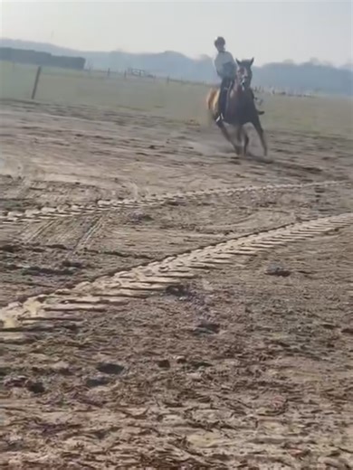 dankjewel chelsea voor de 3 seconde die je hebt gefilmt ik was zo bang opeens rent dat beest ervandoor bij 2 stukjes dacht ik wel echt oke ik lig eraf maar ik bleef zitten dankjewel bokriem en manen maar na al dat gekkigheid rende ze alleen snel en vond ik het weer prima maar in het begin deed ze super braaf gewoon normal stappen en draven maar na fftjes draven deed ze wel moana na met d'r kop omlaag en bokken maar bleef ook natuurlijk zitten @𝐅𝐚𝐲𝐞𝐭𝐣𝐞𝐞𝐞💕💕