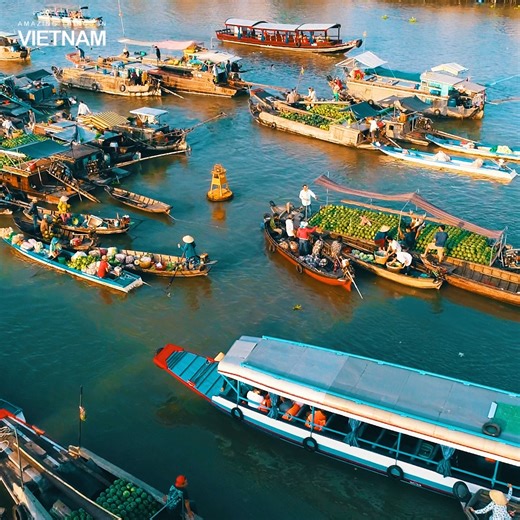 126K views · 4.2K reactions | Colors and flavors of Tet Festival | Amazing Things in Vietnam | Facebook