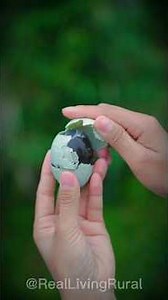 30 दिनो में अपने आप Ferment होकर तैयार होता है ये अनोखा काला अंडा 🪺🥚|| #minivlog