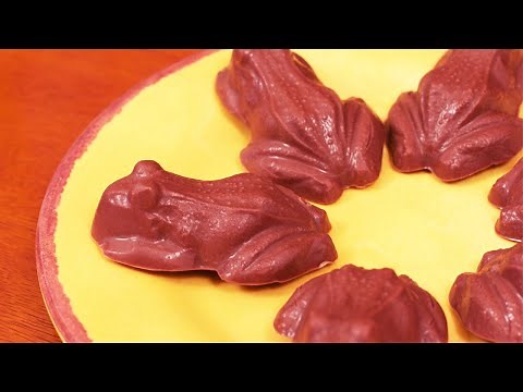 HARRY POTTER CHOCOLATE FROGS - NERDY NUMMIES