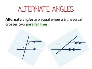 Year 8: Transversal and Parallel Lines