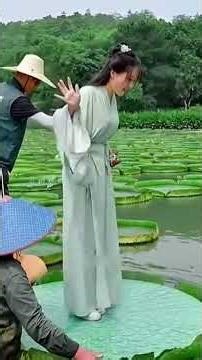 Nature’s Strongest Leaf - Giant water lily