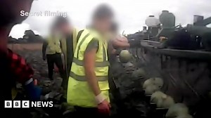 'Unlicensed gangmaster' supplying Lincolnshire farms