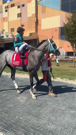Our 1st race on the Parx Racing card heads to the track set to go 6 1/2 furlongs - who will take the opener?! | Let's Go Racing Parx