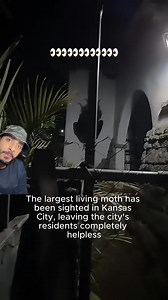 Biggest Living Moth – أكبر فراشة في العالم