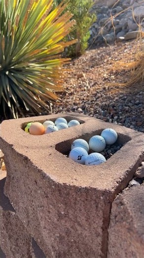 What A Good Place To Stay At Mesquite Trip