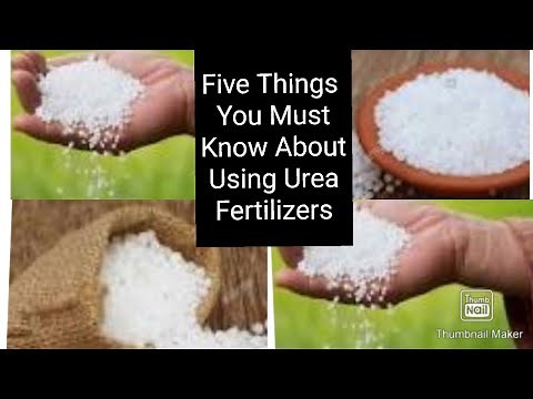 What is Urea & How to Use Urea Fertilizer in Gardening ( English) evergreen garden