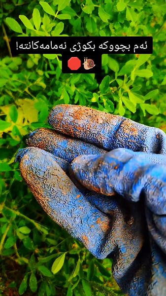 باخچەکەت لە مەترسیدایە! 🐌⚠️ ​ئەو دیمەنەی لە وێنەکەدا دەیبینن، سەرەتای وێرانبوونی لقی ناسک و نەمامە گرانبەهاکانتانە. شەیتانۆکەکان بە بێدەنگی گەشەی باخچەکەت ڕادەگرن! ​✨ Eden Garden چارەسەری کۆتایی بۆ هێناون: ​✅ لەناوبردنی خێرای شەیتانۆکە و لیمەقۆچە. ​✅ پاراستنی لقی تازە و گەڵا ناسکەکان. ​✅ کاریگەرییەکی درێژخایەن و تاقیکراوە. ​🚚 هەر ئێستا داوا بکە و کات بەفیڕۆ مەدە! گەیاندنمان هەیە بۆ هەموو شار و پارێزگاکانی کوردستان. ☀️🏔️ ​📞 بۆ پەیوەندی و داواکردن: [07508335824] ​#fyp #foryou #viral #explore #