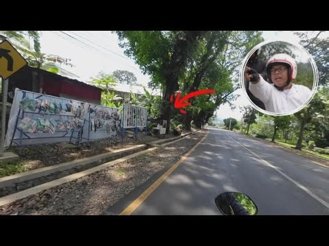 Wow..!! Ada Buah Nanas Terbesar di Dunia, Perjalanan Ke Subang Dari Sumedang Menuju Lembur Pakuan