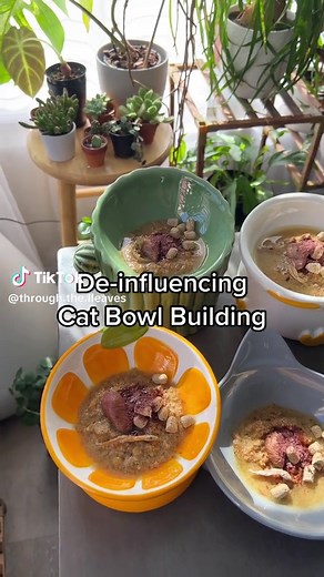 Healthy Cat Essentials: Moisture and Quality Ingredients