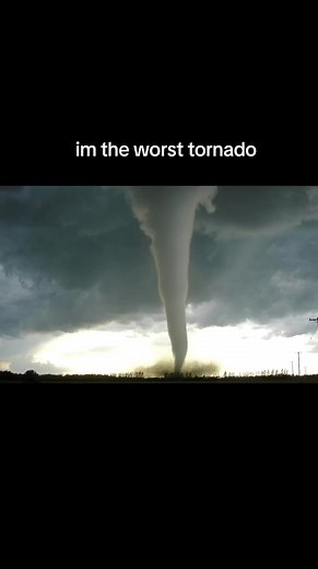 Leaf Tornado Facts: Create Your Own Leaf Eddie