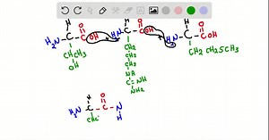 SOLVED:Draw the dashed-wedged line structure for ( R )-proline and (S)-valine.