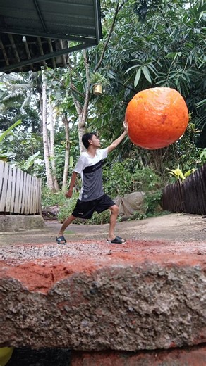 ide foto kreatif lempar buah jeruk #shorts