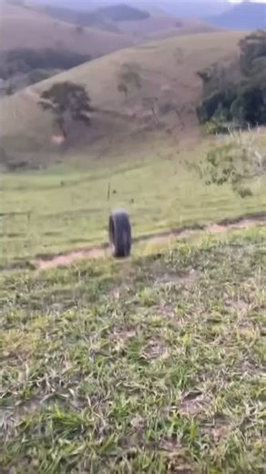 Meet the Firestone Destination LE3, engineered to roll through every season 🛞 🛞 🛞 | Tires Plus