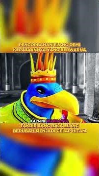 HATI-HATI TERHARU! 🦅 Pengorbanan Elang Tua Demi Mengembalikan Warna Dunia yang Hilang 😱✨