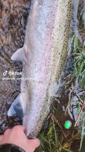 Steelhead and Trout Fishing in the PNW with Lil Winter Steely