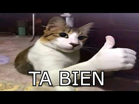 Shitposting Compilation #4 | Videos Random