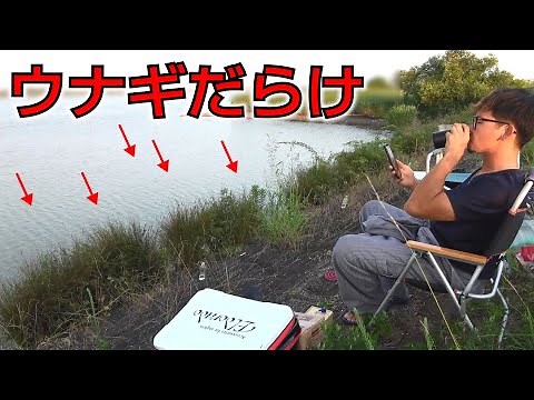 天然ウナギが釣れまくる極秘スポット発見【うなぎ釣り】