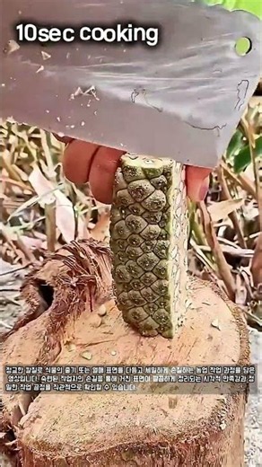 숙련된 전문가의 농업 식물 관리와 칼질 기술