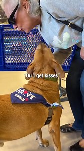 I gave a SHELTER DOG the BEST DAY EVER 🥺❤️ | Neenib