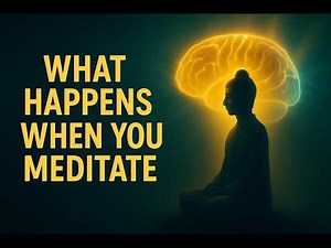What Happens in Your Brain When You Meditate | The Science of Meditation Part 1