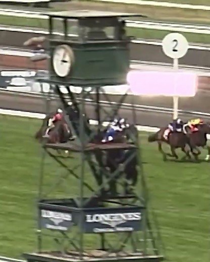 The greatest Melbourne Cup moment ever 👑