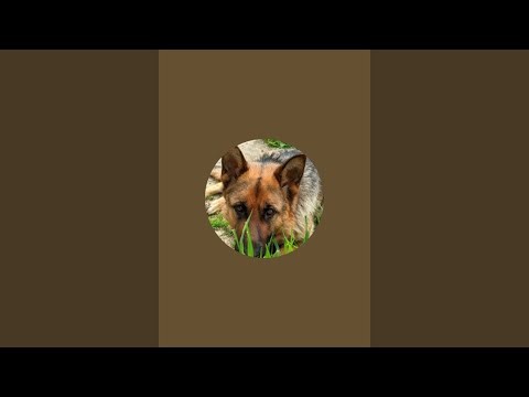 SUPER BLOG в прямом эфире!