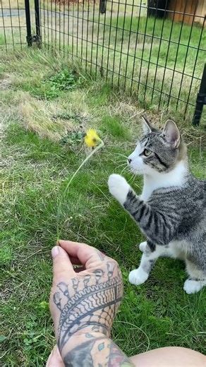 Jules Warner (@all.of.jules)’s videos with original sound - Unbothered Podcast