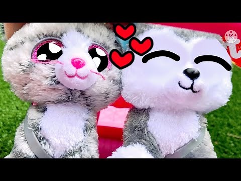 2002 | Beanie Boo Music Video