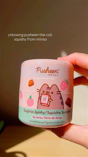 unboxing pusheen the cat squishy from MINISO #minisoambassador #myminisousa #asmr