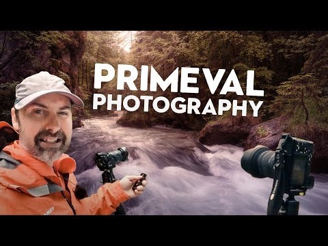 When Your Local Area Offers Primeval Photography Options