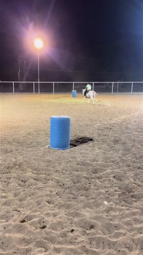 Auggie working the pattern on our Gypsy cross pony