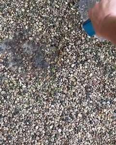 Introducing the World’s first, and ONLY Upright Vacuum with Water Filtration! ✅ Micro Silver to reduce germs and bacteria! ✅ Picks up dry and wet spills! ✅ Never loses suction or airflow! ✅ No dust, no mess, no bacteria! ✅ FREE Shipping within 3-5 Business Days! Want to see the revolutionary Quantum X in action? Get $100 OFF & FREE Gifts (worth $50) Today! www.quantumvac.com ..Hurry, Limited Time Only! | Quantum Vacuum | Facebook