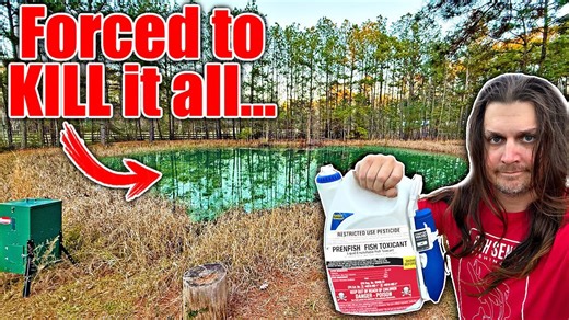 Forced to kill off backyard ponds environmental dilemma
