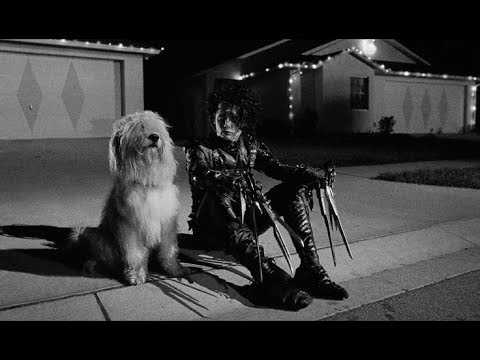 grinding triple beam beats