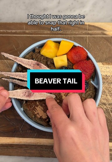 Cute Beavers and Their Tail Facts 🦫