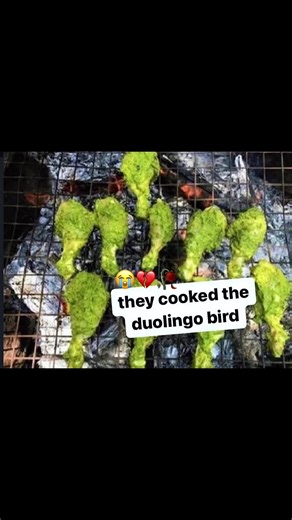 Duolingo: Gamified Language Learning Experience