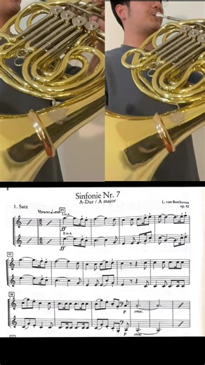 Comparing Modern Horn and Natural Horn Techniques