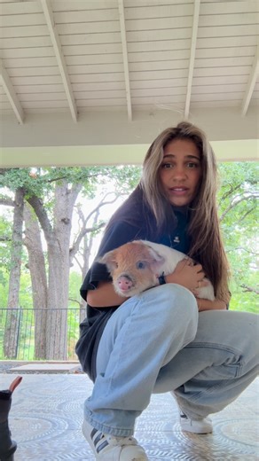 CHRISTINA MARIE on Instagram: "Well Lucas did get bigger… I just found this video🥹 I had no idea how big a little piglet could get at this point in time, and it was my first time leaving him for an extended amount of time😢 #pig #piglife #lucasthepiggy #piglets"