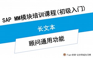 顾问通用功能-长文本 SAP