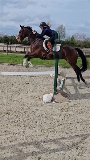 few clips from today's course. kept them small today as I'm getting used to her even tho we've had her for 3 and abit years ahaha 💗 definitely need to learn to stop hehe. but she was so good bless her as she's so big for me but I can't wait to get her to a show x #showjumping #💗 #blowup? #viral #goviral #fyppppppppppppppppppppppp #veiwsproblem #fypシ