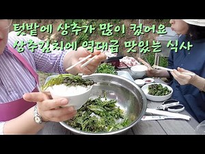 I made lettuce kimchi with my older sister Pilsun and ate until my mouth was exploding. Of course...