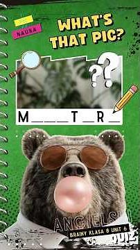 To musisz znać na egzaminie 8‑klasisty! Jobs & Work Vocabulary English Quiz |#6 What’s That Pic?