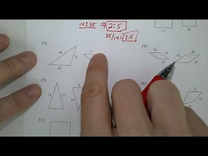 Similar Polygons Kuta Software Infinite Geometry