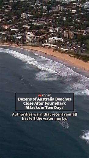 Dozens of beaches on the east coast of Australia are closed again after four shark attacks in just two days. Authorities warn that recent rainfall has left the water murky which has increased the risk of bull shark attacks. | Today Show