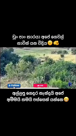 Udaya Gamage Israel on Reels